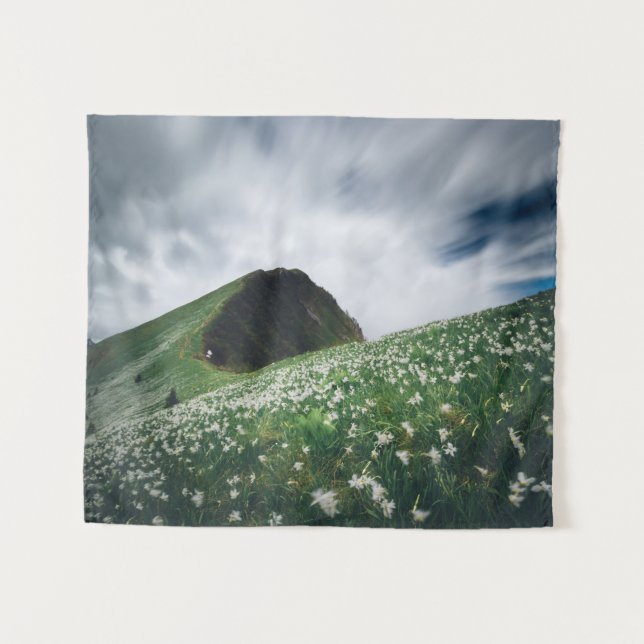 Tenture Des milliers de narcisses sur Golica, Slovénie (Devant (Horizontal))