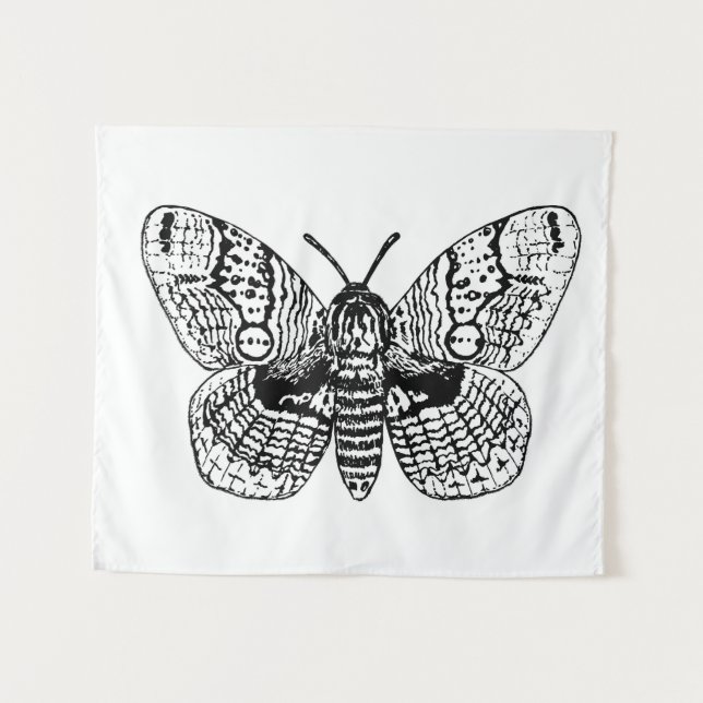 Tenture Dessin Brahmin moth (Devant (Horizontal))