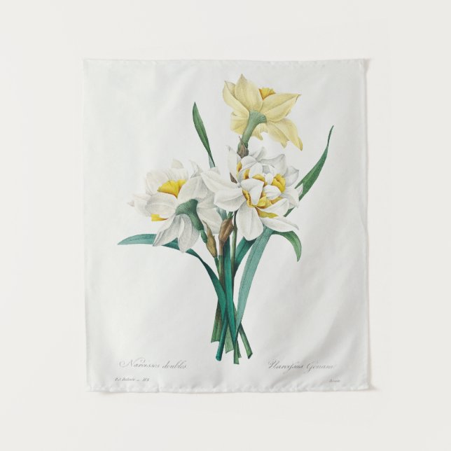 Tenture Double Daffodil,  Pierre-Joseph Redouté, 1827 (Devant)