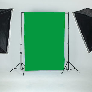 Tenture Écran vert pour Studio de Photographie