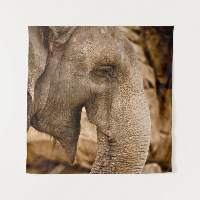 TENTURE ÉLÉPHANT (Devant)