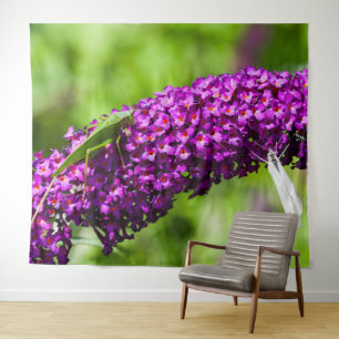 Tenture énergie katydone