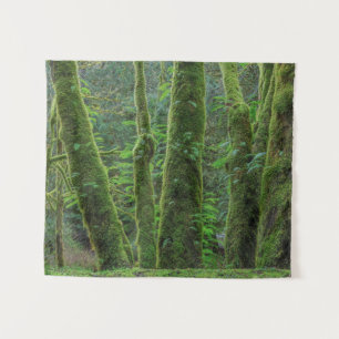 Tenture Érables à grandes feuilles & fougères État de Wa