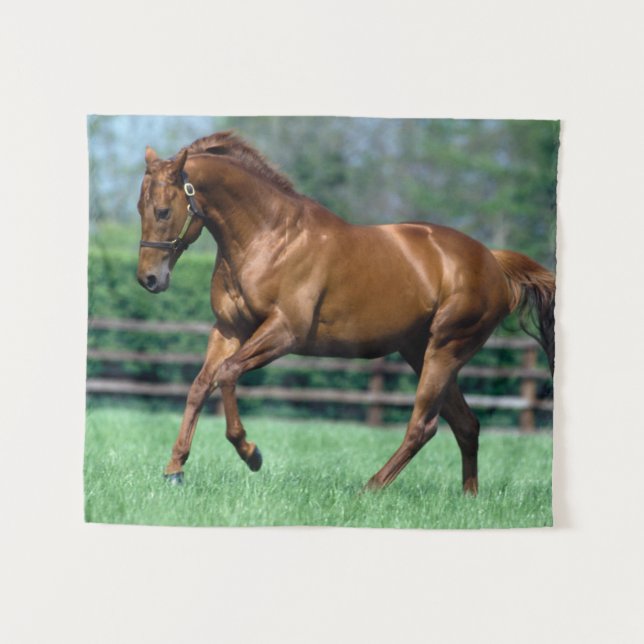 Tenture Étalon pur-sang, Irlande (Devant (Horizontal))