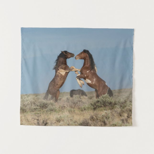 Tenture Étalons de chevaux sauvages se battant (Devant (Horizontal))