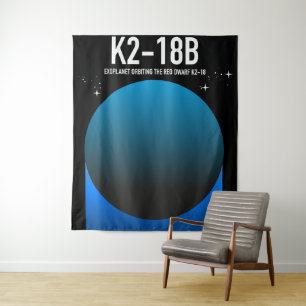 Tenture exoplanète K2-18b 