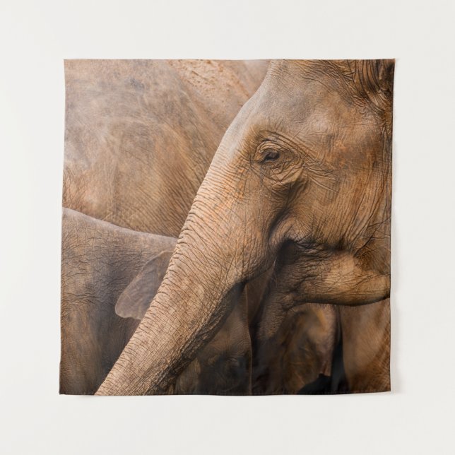 Tenture Famille des éléphants : Faune majestueuse (Devant)