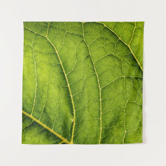 Tenture Feuille verte (Devant)