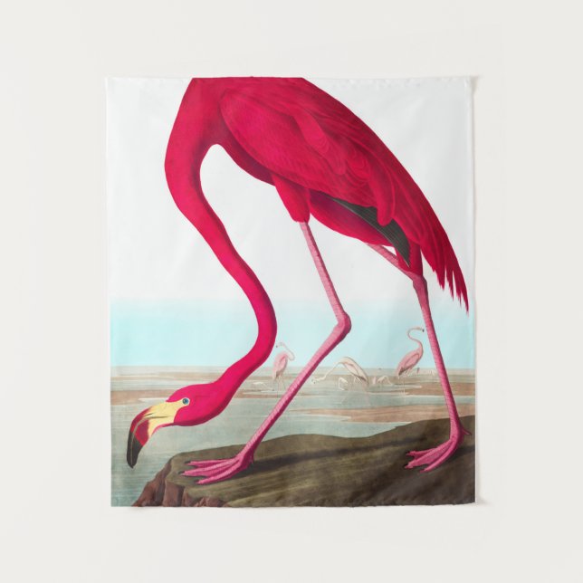 Tenture Flamant rose américain par John James Audubon (Devant)
