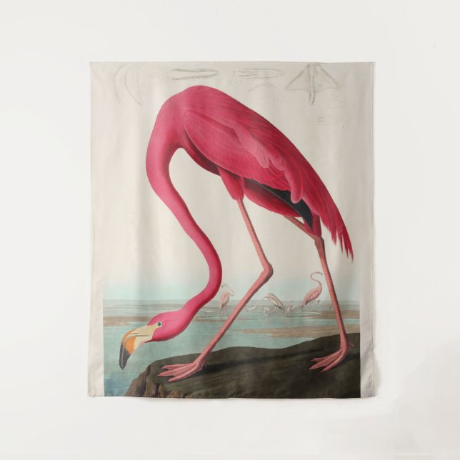 Tenture Flamant rose Audubon Rose Américain, Plaque CCXXXI (Devant)