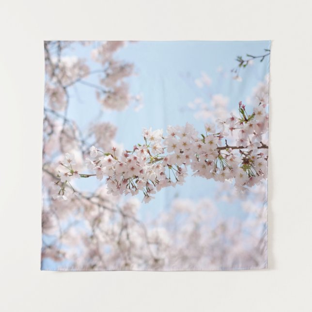 Tenture Fleur de cerisier blanc sous ciel bleu clair en m (Devant)