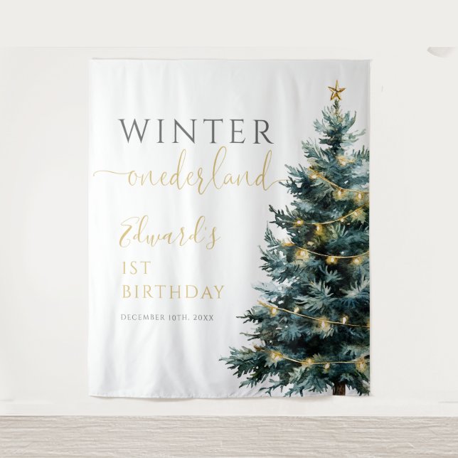 Tenture Fond pour fête du 1er anniversaire Winter Onederla (Devant)
