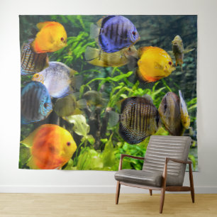 TENTURE FOND POUR PHOTO DE POISSONS BEAUX