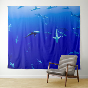 TENTURE FOND POUR PHOTO D'ÉCOLE DE REQUINS
