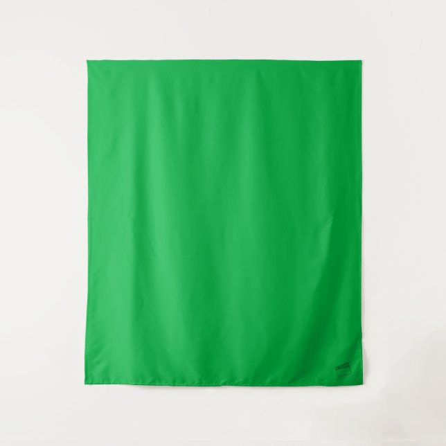 Tenture Fond vert | Toile de fond pour audition auto-enreg (Devant)