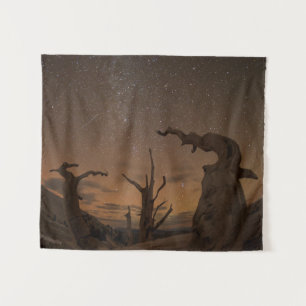 Tenture Forêt ancienne de pins à Bristlecone   Californie