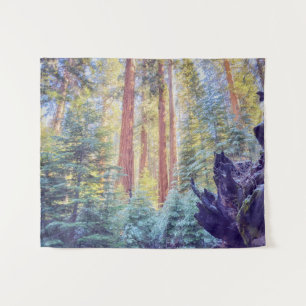Tenture Forêt de Sequoia
