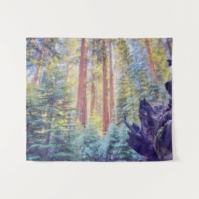 Tenture Forêt de Sequoia (Devant (Horizontal))