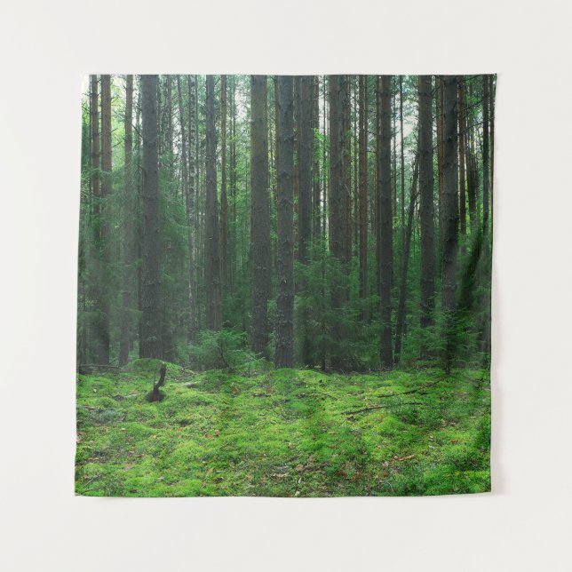 Tenture Forêt d'été dense : Panorama paysager. (Devant)