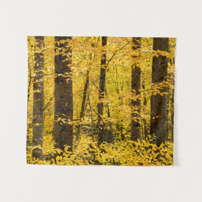 Tenture Forêt nationale de Pisgah en automne (Devant (Horizontal))
