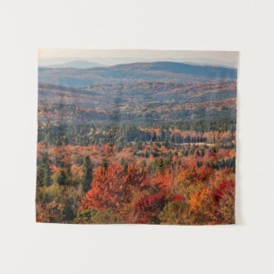 Tenture Forêt nationale de White Mountains   New Hampshire