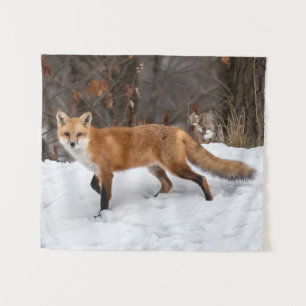 Tenture Fox Sur Neige