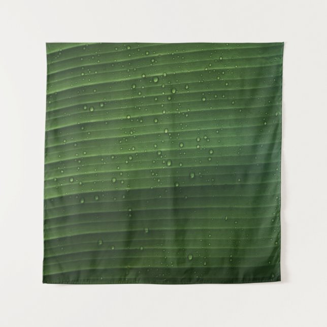 Tenture gouttelettes d'eau sur la feuille verte (Devant)
