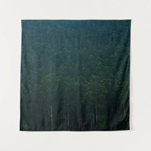 TENTURE GRANDS ARBRES VERTS (Devant)
