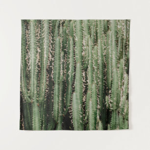 Tenture Gros plan du plante de cactus vert