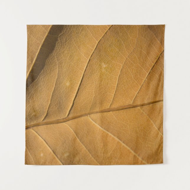 Tenture Gros plan texture abstraite de feuilles sèches arr (Devant)