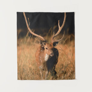 Tenture Habitat naturel du chital Parc national de Bandh