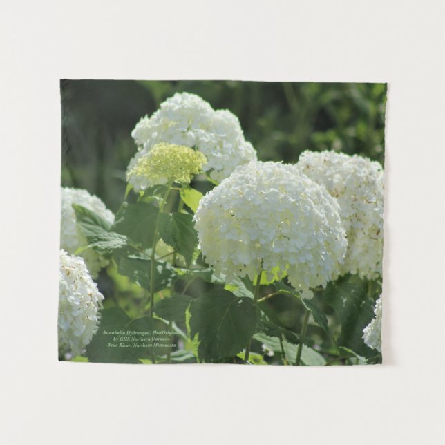 Tenture Hortensia d'Annabelle (Devant (Horizontal))