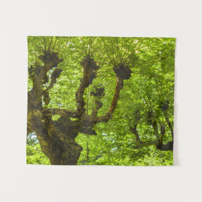 Tenture Île de Sao Miguel (Devant (Horizontal))