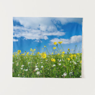 Tenture île de South Uist Écosse