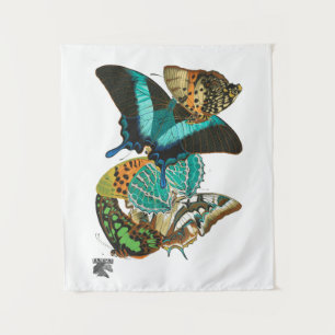 Tenture Illustration des papillons Vintages E.A. Séguy
