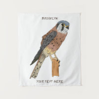 Illustration d'oiseau américain Kestrel