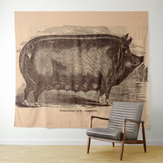Tenture Impression de cochon du 19e siècle Truie Berkshire (En situation (horizontale))
