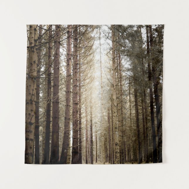 TENTURE INTO THE FOREST (Devant)