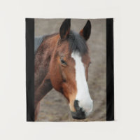 Joli visage de cheval