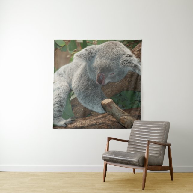 Tenture Koala (En situation)