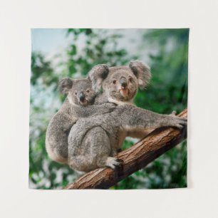 Tenture Koala, phascolarctos cinereus, Femme qui vous port