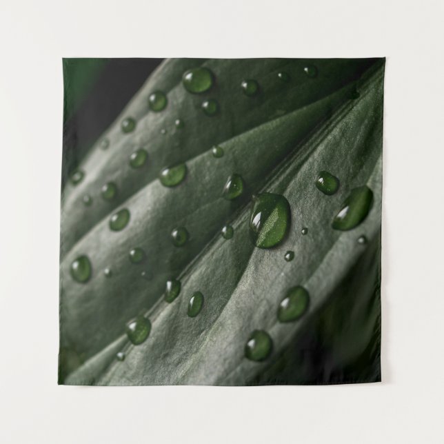 Tenture La texture plante de la feuille laisse tomber l'ea (Devant)