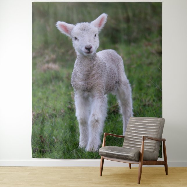 Tenture Lamb Bébé Mouton ferme animal (En situation)