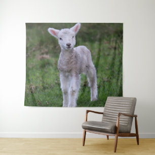 Tenture Lamb Bébé Mouton ferme animal