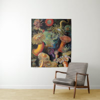 l'art de la nature par Ernst Haeckel