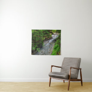 Tenture Les cascades   Cuyahoga Valley Ohio