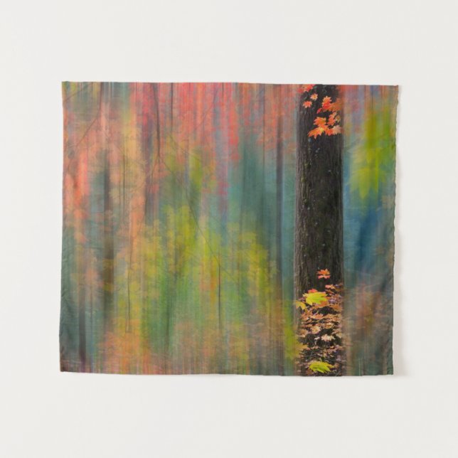 Tenture Les érables | Parc d'état de Silver Falls (Devant (Horizontal))