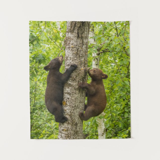 Tenture Les oursons noirs grimpent à l'arbre (Devant)