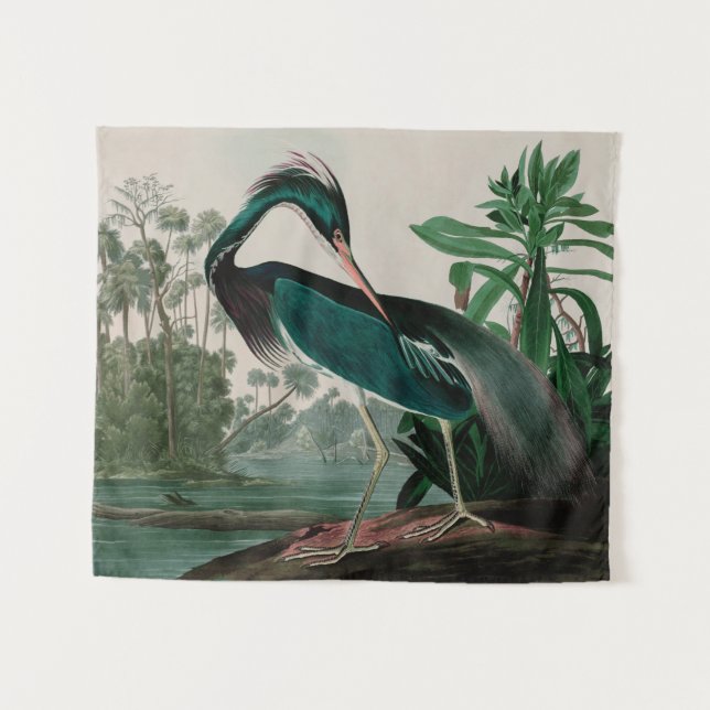 Tenture Louisiana Heron Birds of America Audubon Imprimer (Devant (Horizontal))