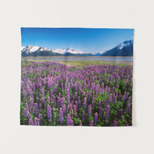 Tenture Lupines en fleur   Kenai Mountains, Alaska
